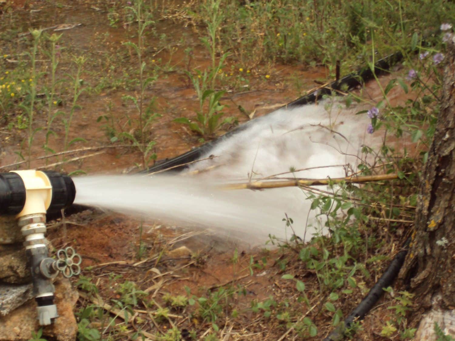 3 quarto Quinta/Casa Rural para venda em Ronda com piscina garagem - 1 600 000 € (Ref: 9807526)