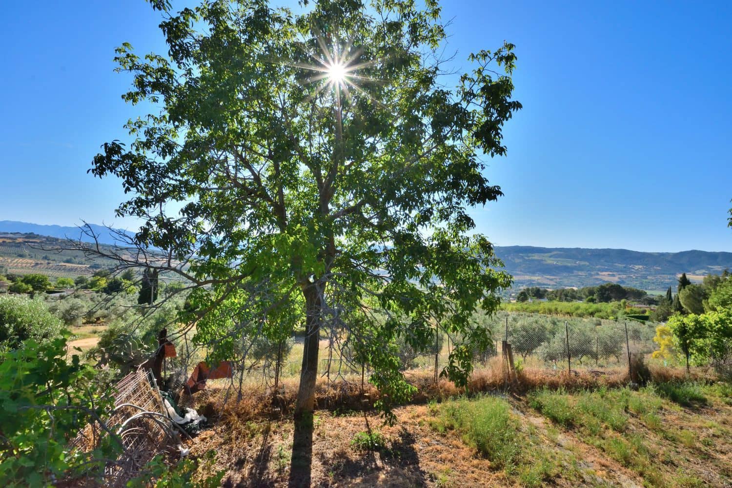 3 bedroom Finca/Country House for sale in Ronda with pool garage - € 330,000 (Ref: 9877774)