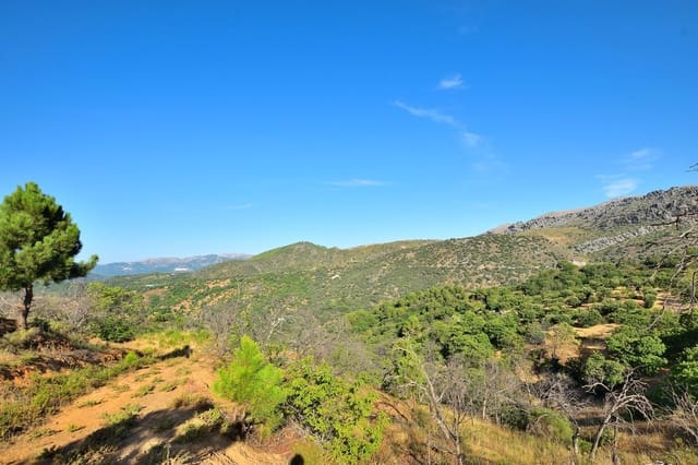 Terreno/Finca Rústica en Cartajima en venta - 32.000 € (Ref: 9950960)