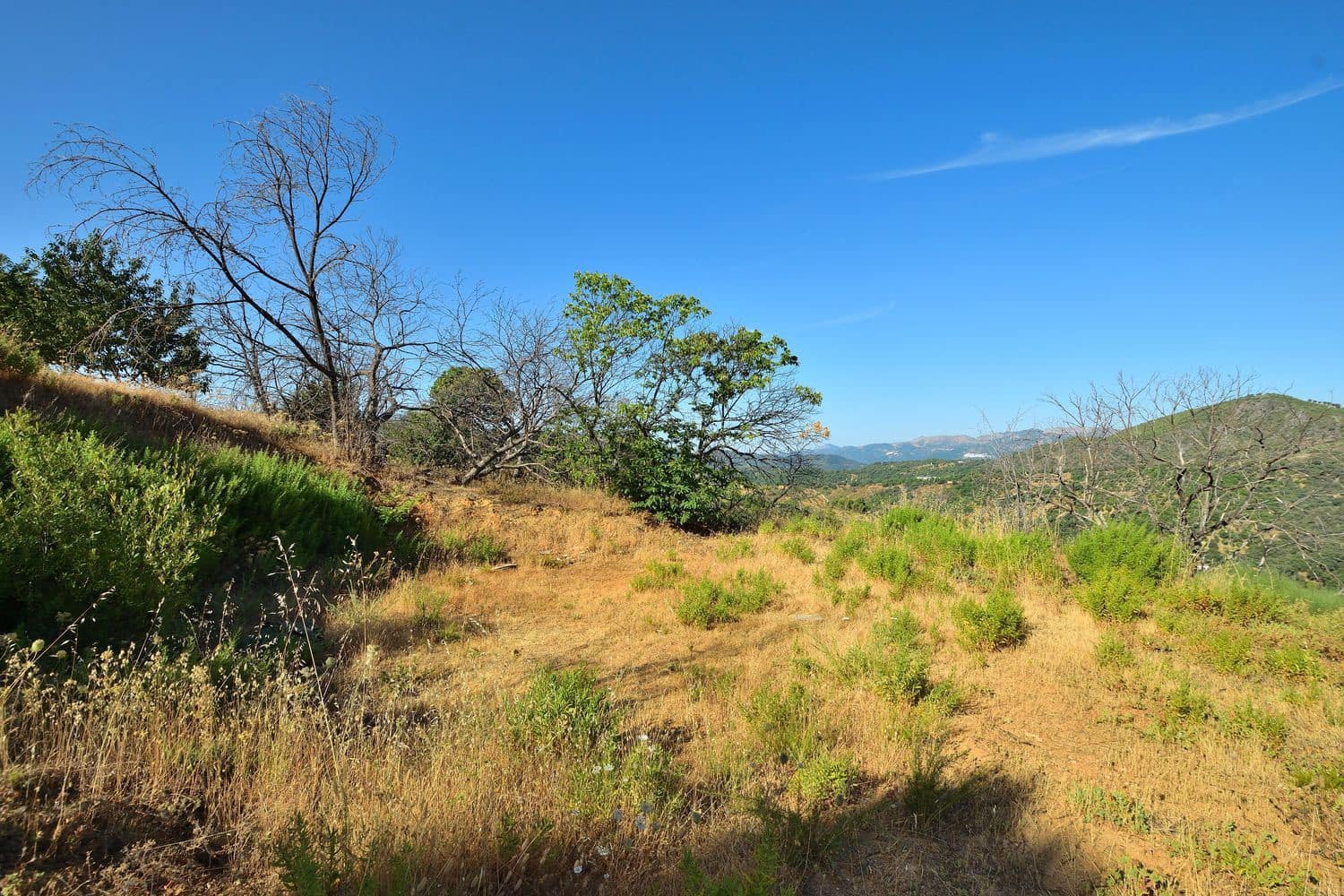 Terreno/Finca Rústica en Cartajima en venta - 32.000 € (Ref: 9950960)