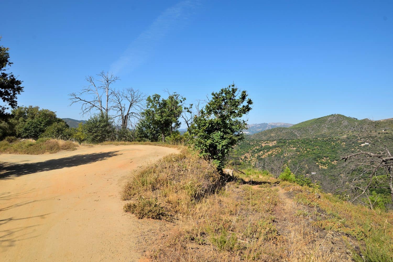 Terreno/Finca Rústica en Cartajima en venta - 32.000 € (Ref: 9950960)