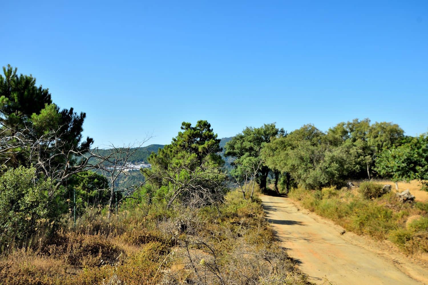Terreno/Finca Rústica en Cartajima en venta - 32.000 € (Ref: 9950960)