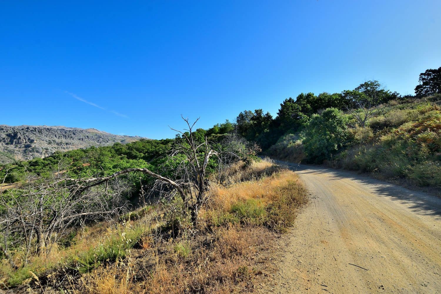 Terreno/Finca Rústica en Cartajima en venta - 32.000 € (Ref: 9950960)