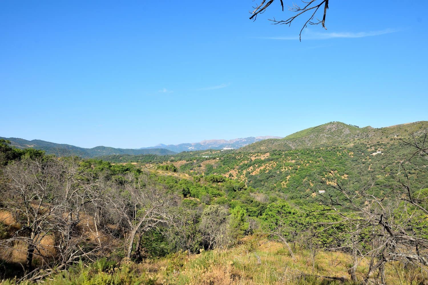 Terreno/Finca Rústica en Cartajima en venta - 32.000 € (Ref: 9950960)