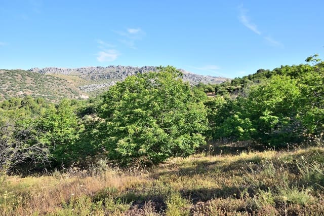 Terreno/Finca Rústica en Cartajima en venta - 32.000 € (Ref: 9950960)