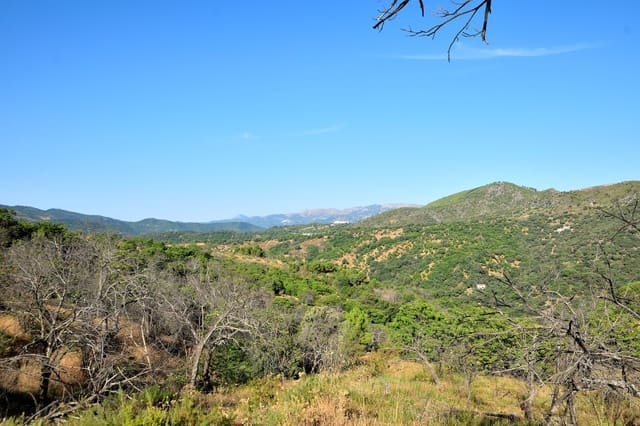Terreno/Finca Rústica en Cartajima en venta - 32.000 € (Ref: 9950960)