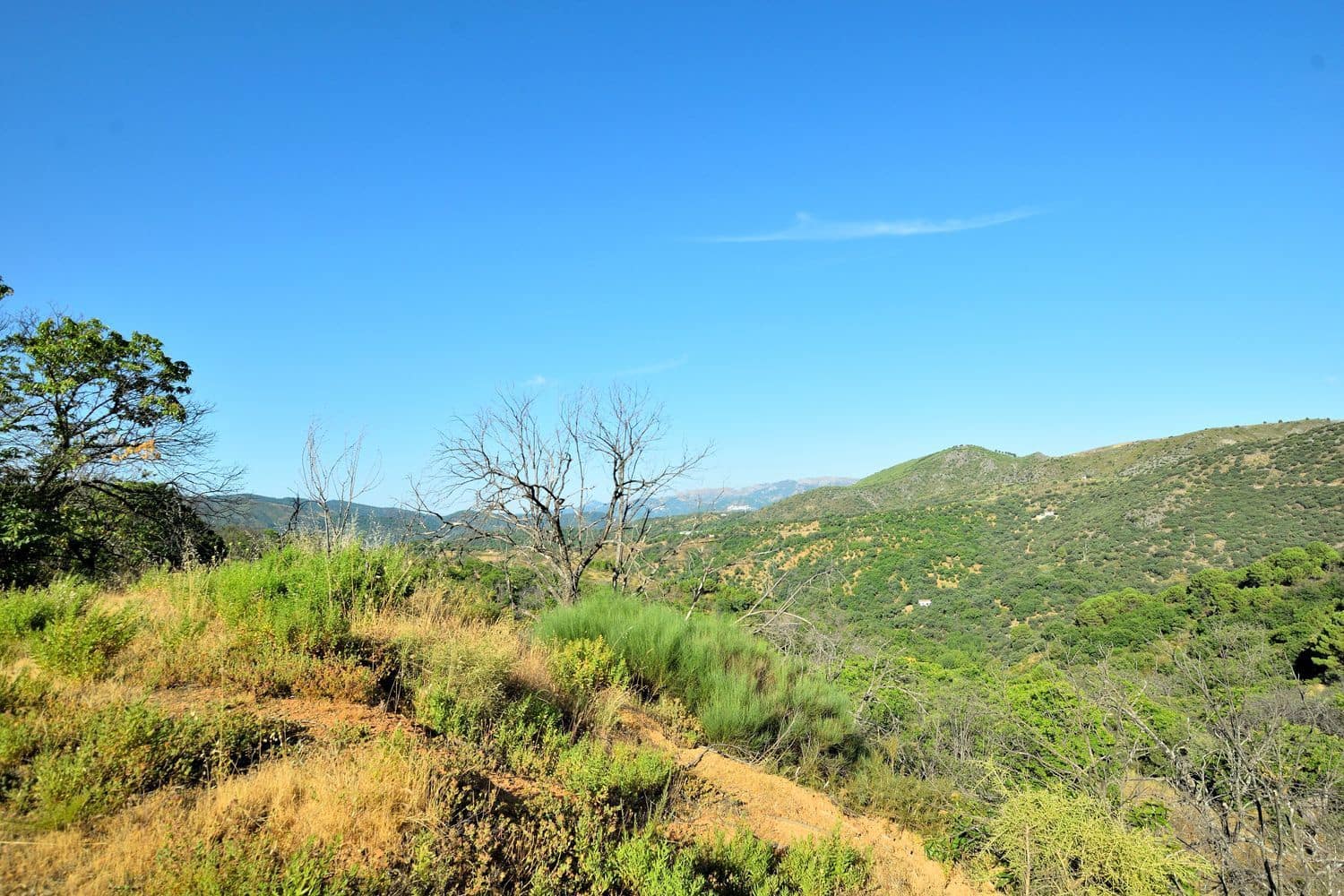 Terreno/Finca Rústica en Cartajima en venta - 32.000 € (Ref: 9950960)