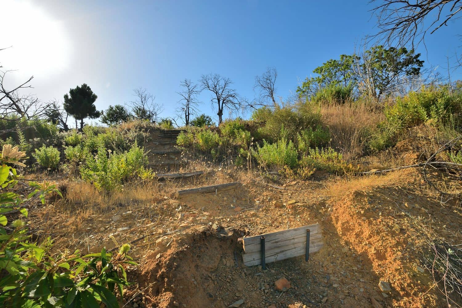 Terreno/Finca Rústica en Cartajima en venta - 32.000 € (Ref: 9950960)