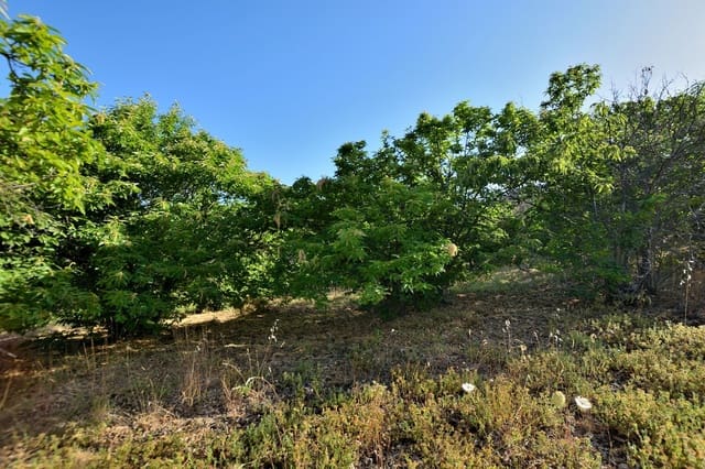 Terreno/Finca Rústica en Cartajima en venta - 32.000 € (Ref: 9950960)