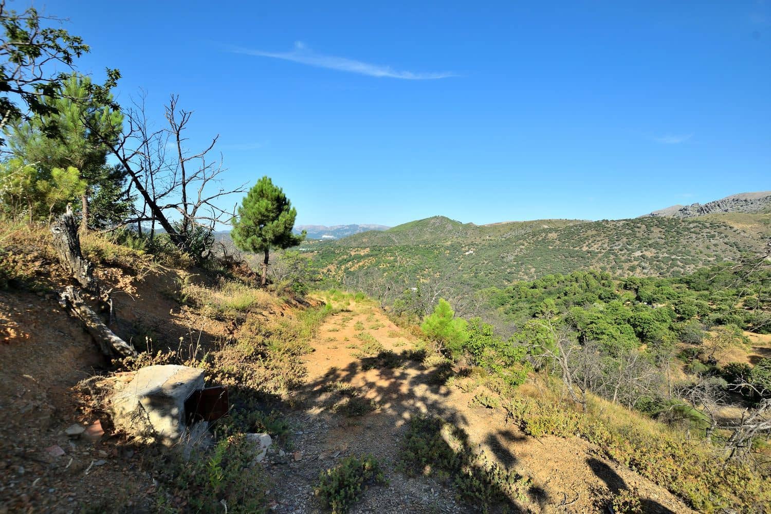 Terreno/Finca Rústica en Cartajima en venta - 32.000 € (Ref: 9950960)