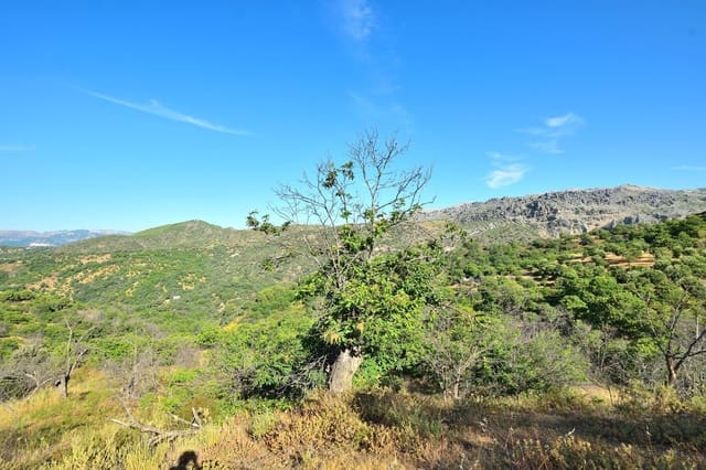 Terreno/Finca Rústica en Cartajima en venta - 32.000 € (Ref: 9950960)