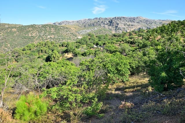 Terreno/Finca Rústica en Cartajima en venta - 32.000 € (Ref: 9950960)