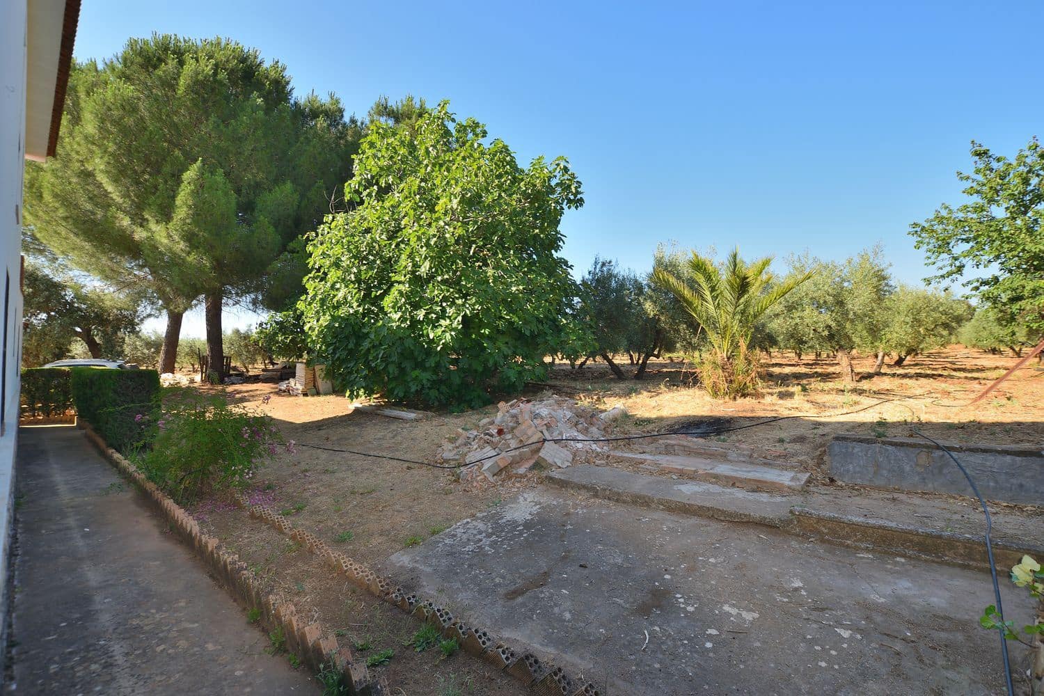 5 chambre Finca/Maison de Campagne à vendre à Setenil de las Bodegas avec piscine garage - 435 000 € (Ref: 9953655)