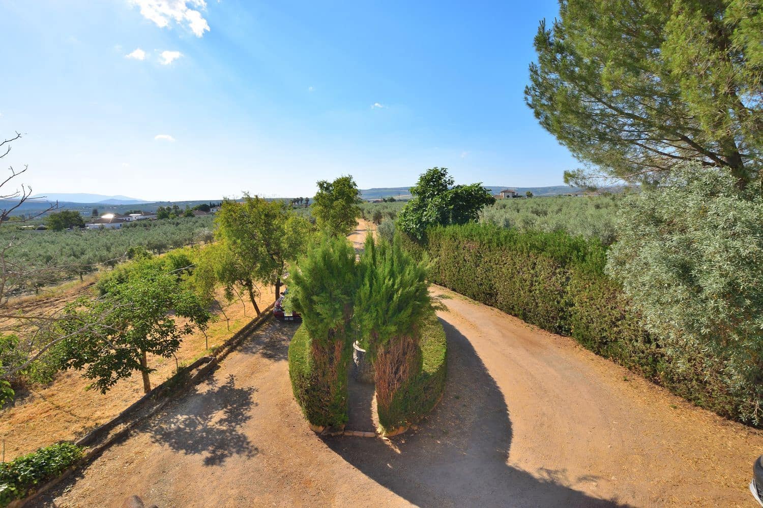 5 chambre Finca/Maison de Campagne à vendre à Setenil de las Bodegas avec piscine garage - 435 000 € (Ref: 9953655)