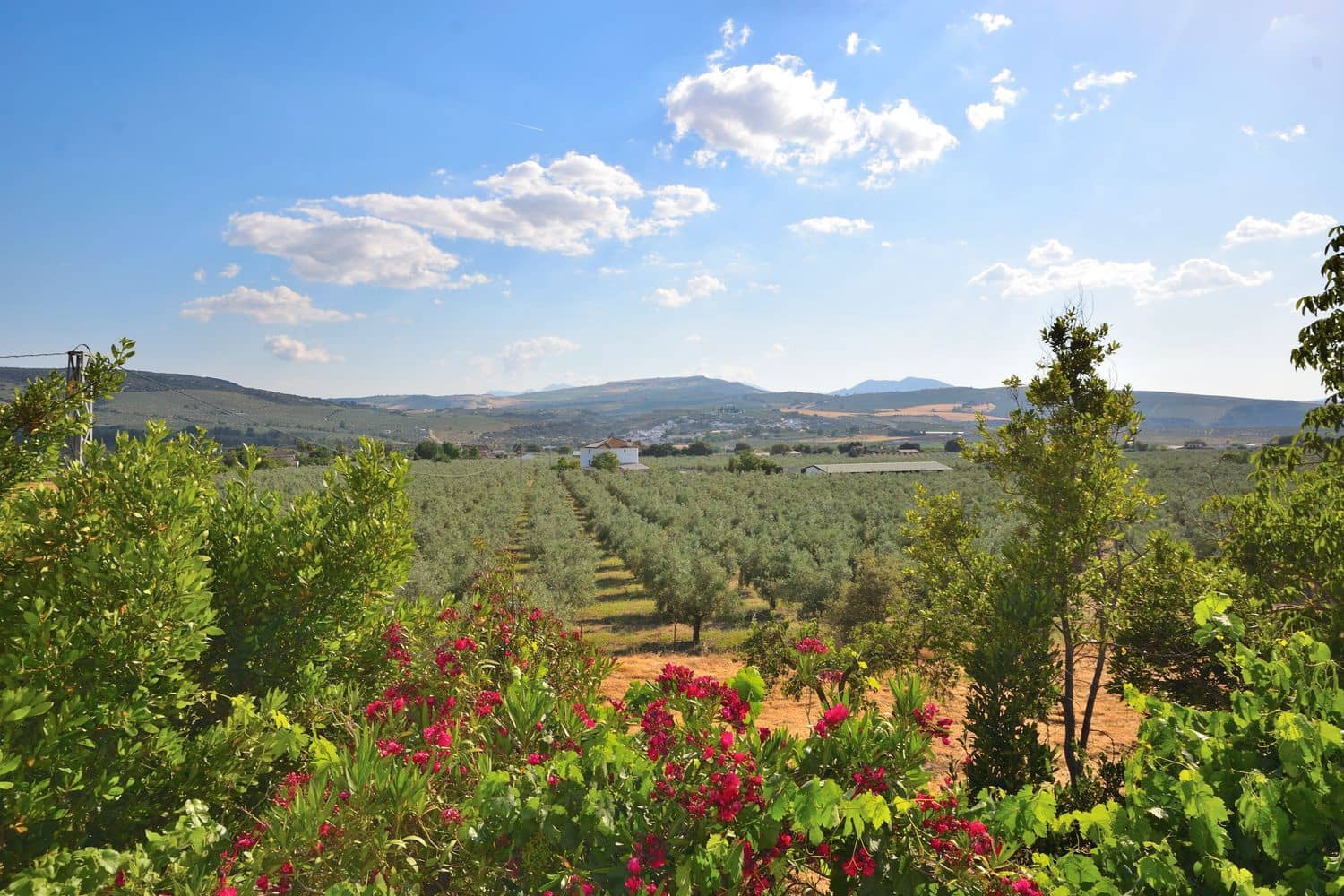 5 chambre Finca/Maison de Campagne à vendre à Setenil de las Bodegas avec piscine garage - 435 000 € (Ref: 9953655)