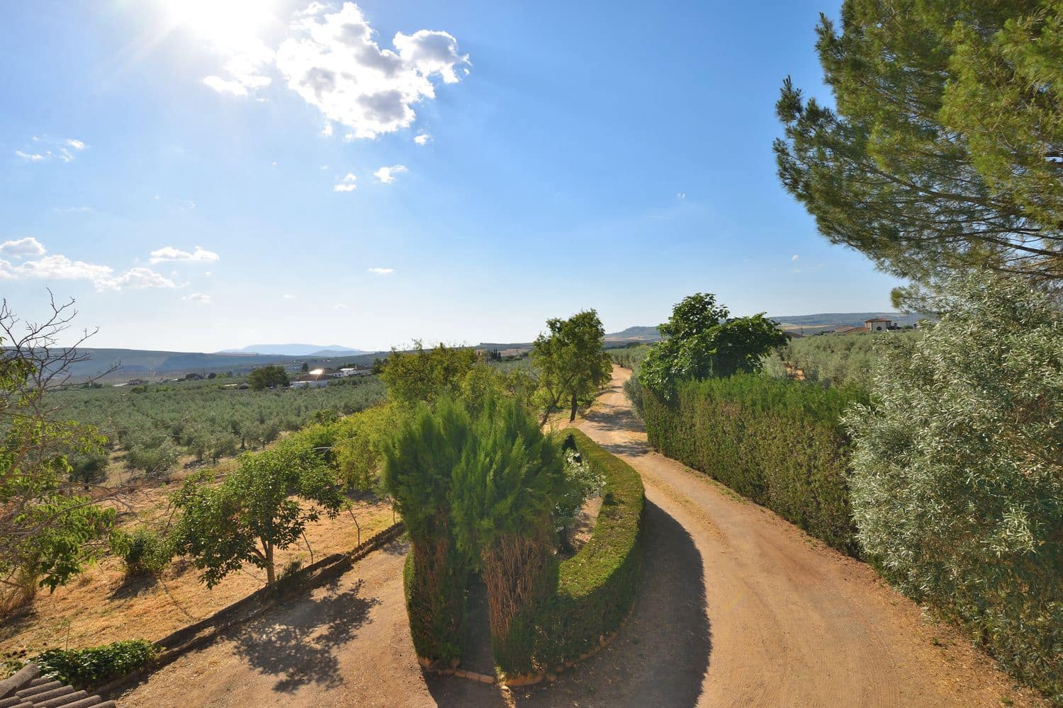 5 chambre Finca/Maison de Campagne à vendre à Setenil de las Bodegas avec piscine garage - 435 000 € (Ref: 9953655)