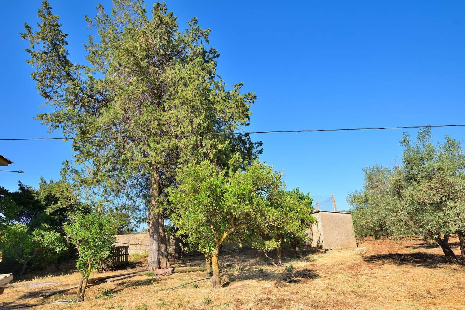5 chambre Finca/Maison de Campagne à vendre à Setenil de las Bodegas avec piscine garage - 435 000 € (Ref: 9953655)