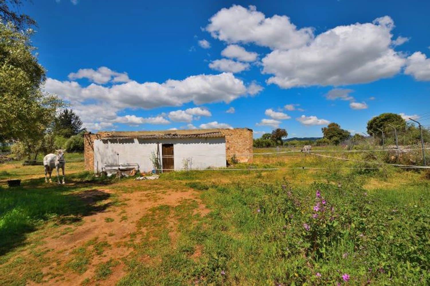 1 slaapkamer Finca/Landhuis te koop in Cuevas del Becerro met garage - € 350.000 (Ref: 9976682)