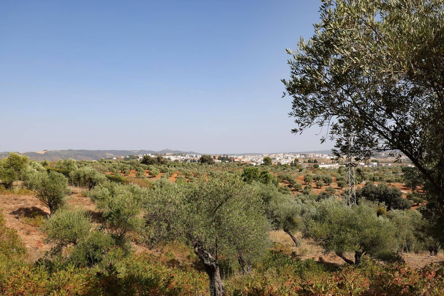 6 soveværelse Finca/Landehus til salg i Ronda med swimmingpool garage - € 530.000 (Ref: 9976683)