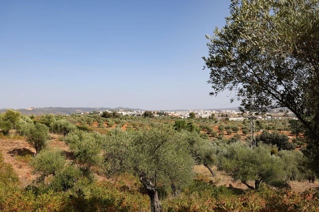 6 soveværelse Finca/Landehus til salg i Ronda med swimmingpool garage - € 530.000 (Ref: 9976683)