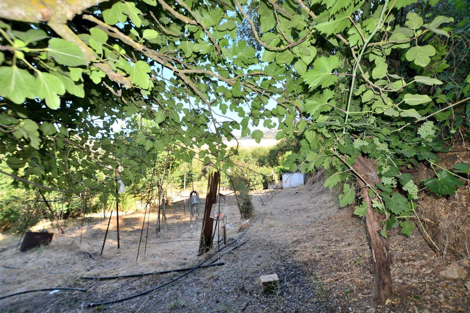 2 bedroom Finca/Country House for sale in Arriate with garage - € 699,000 (Ref: 9981678)