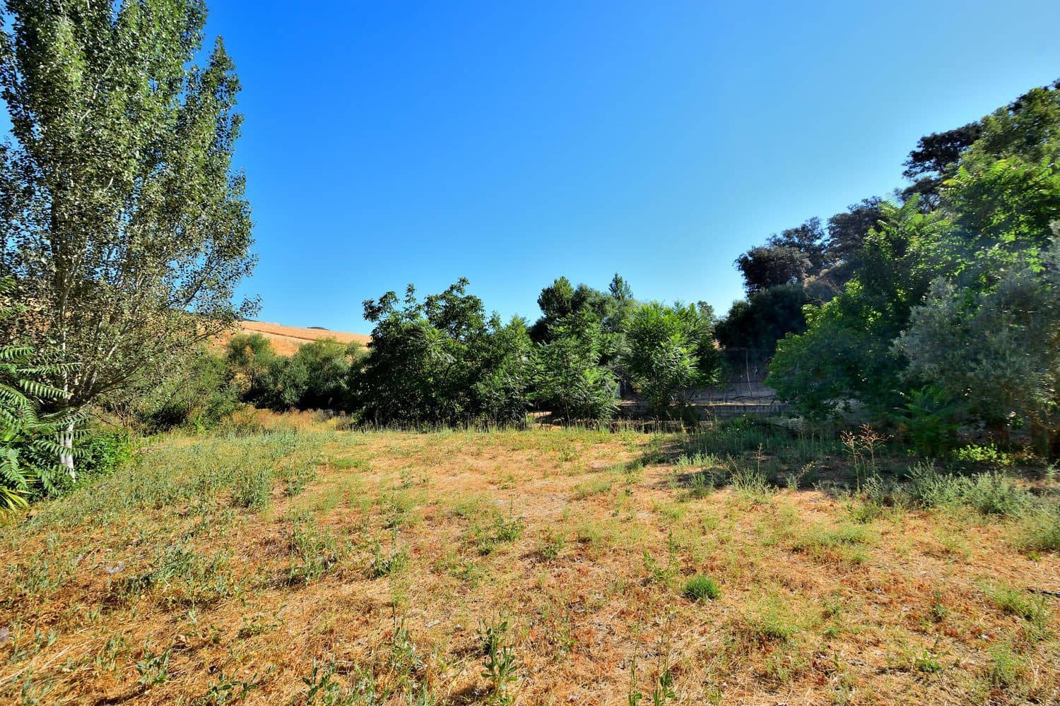2 bedroom Finca/Country House for sale in Arriate with garage - € 699,000 (Ref: 9981678)
