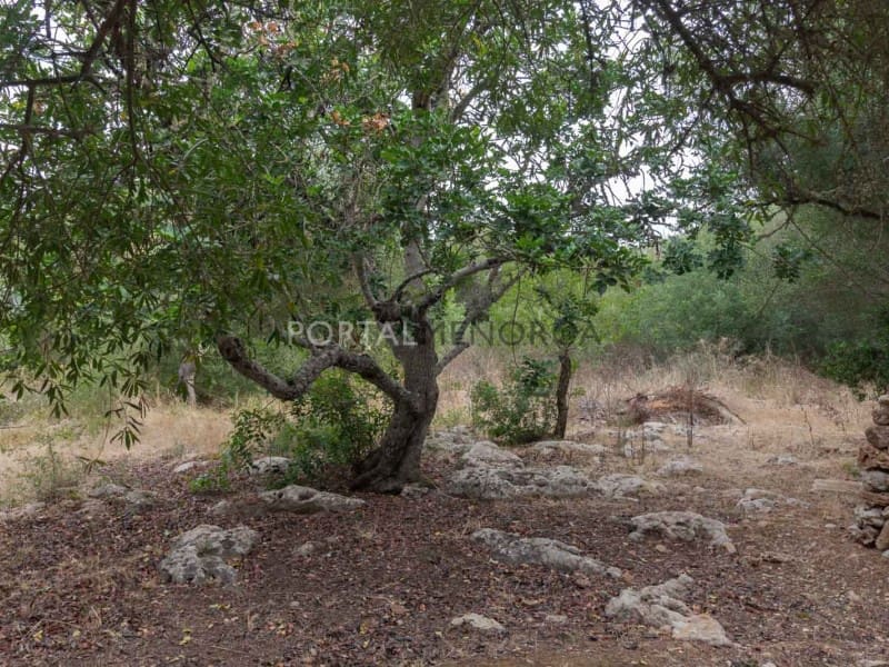 4 soveværelse Finca/Landehus til salg i Trebaluger - € 1.200.000 (Ref: 9202646)