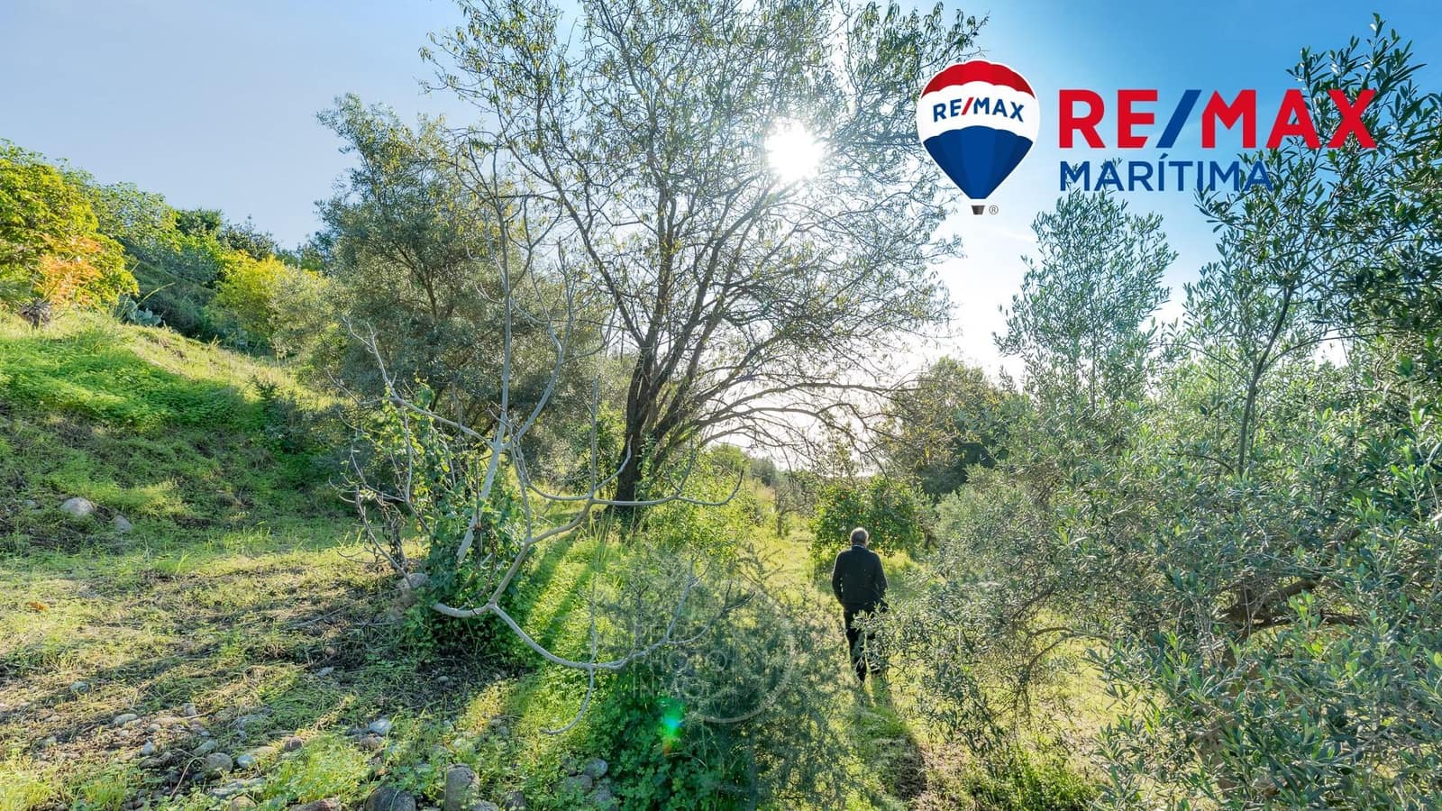 3 soverom Finca/Herregård til salgs i Estepona med svømmebasseng garasje - € 1 075 000 (Ref: 9065287)