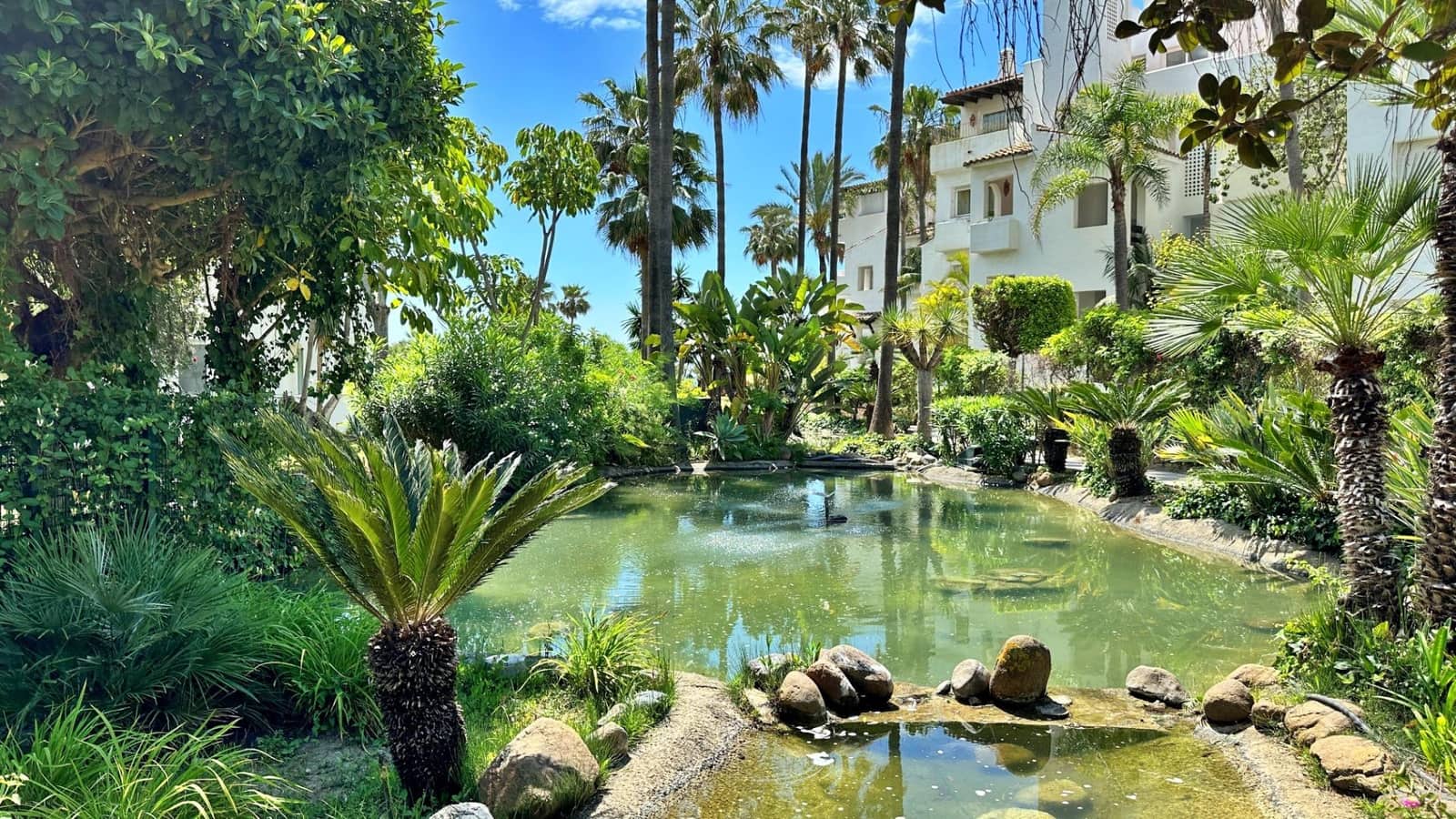 2 soveværelse Lejlighed til leje i Costalita med swimmingpool - € 1.900 (Ref: 9065296)