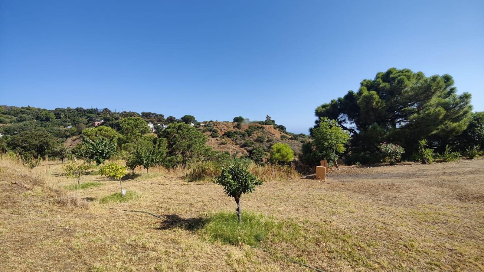 2 sypialnia Finka/Dom wiejski na sprzedaż w Estepona - 229 000 € (Ref: 9240452)