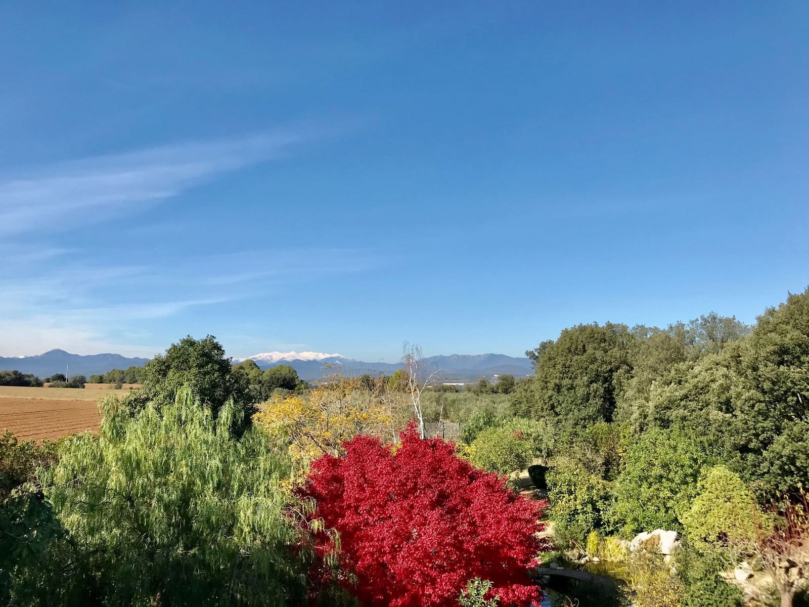 4 sovrum Villa till salu i Avinyonet de Puigventos med pool - 890 000 € (Ref: 5702353)