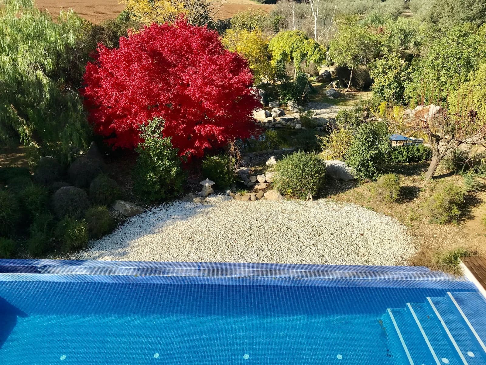 4 sovrum Villa till salu i Avinyonet de Puigventos med pool - 890 000 € (Ref: 5702353)