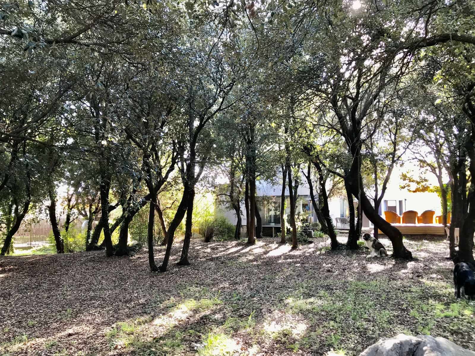 4 sovrum Villa till salu i Avinyonet de Puigventos med pool - 890 000 € (Ref: 5702353)