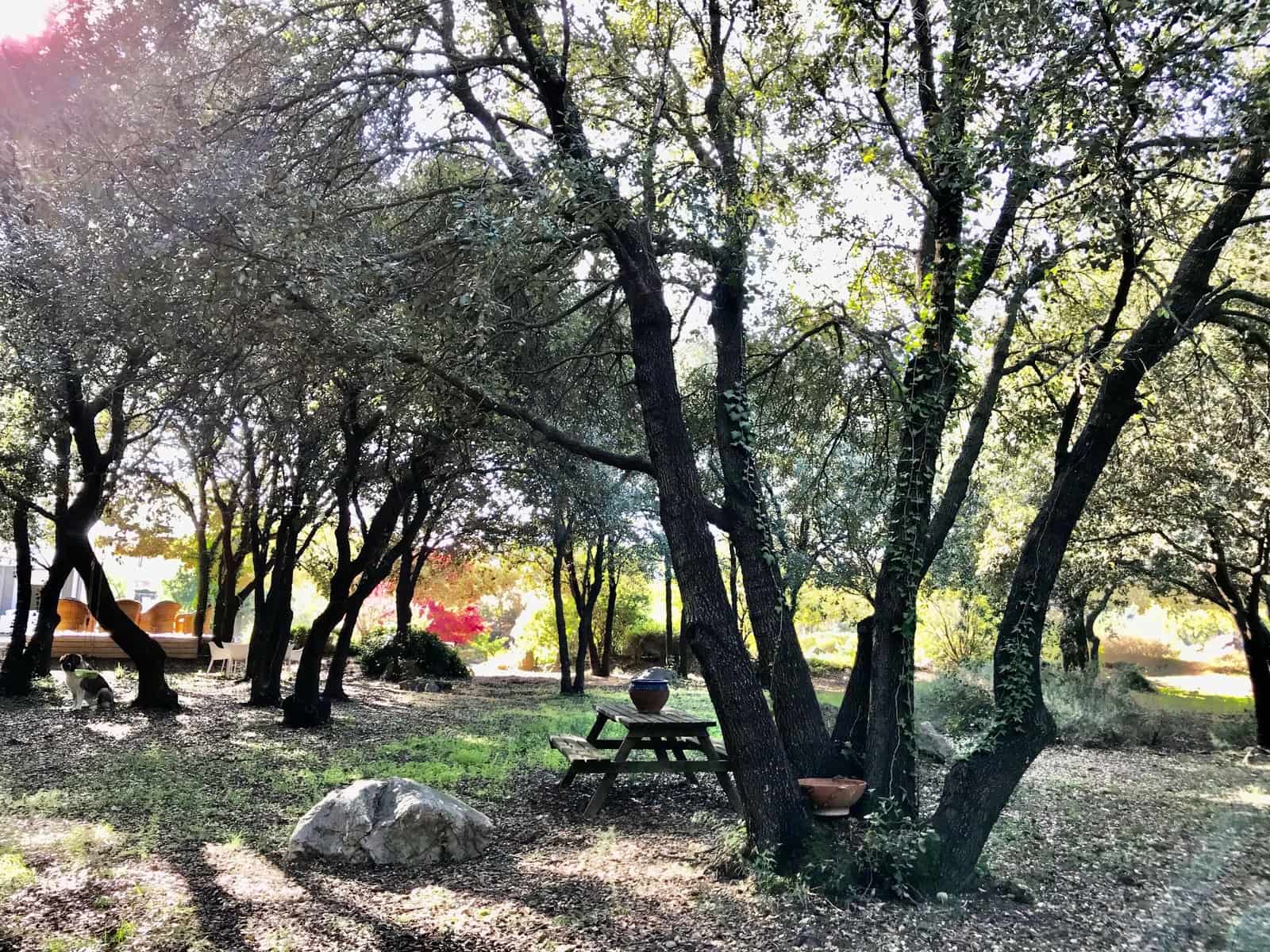 4 sovrum Villa till salu i Avinyonet de Puigventos med pool - 890 000 € (Ref: 5702353)