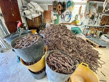 2 soveværelse Finca/Landehus til salg i Turre med swimmingpool garage - € 900.000 (Ref: 5640941)