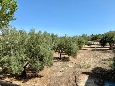 2 soveværelse Finca/Landehus til salg i Turre med swimmingpool garage - € 900.000 (Ref: 5640941)