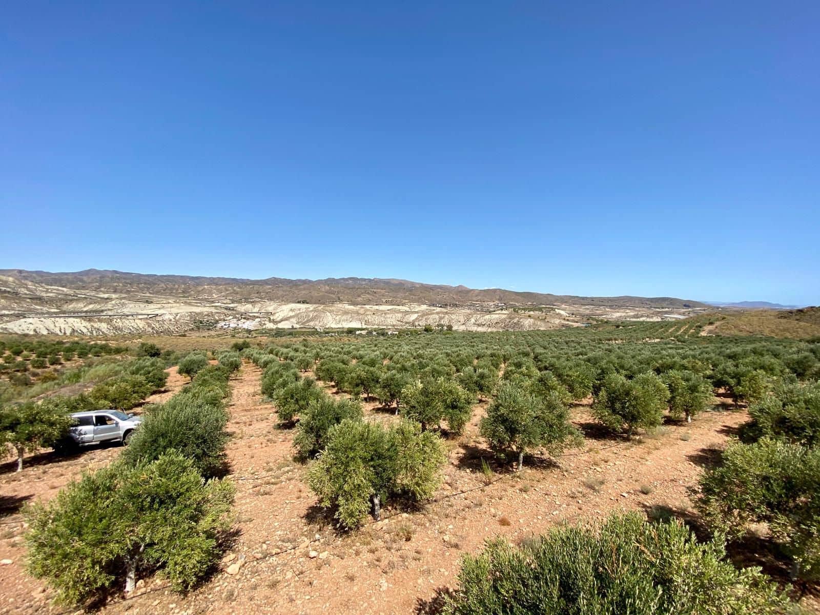 2 soveværelse Finca/Landehus til salg i Turre med swimmingpool garage - € 900.000 (Ref: 5640941)