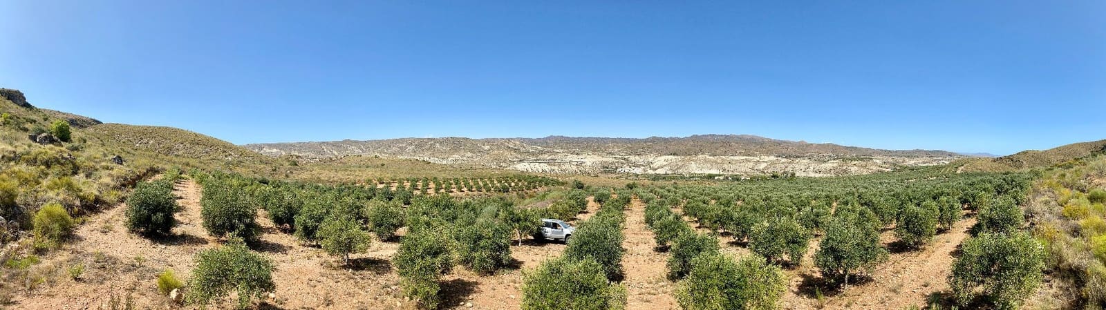 2 soveværelse Finca/Landehus til salg i Turre med swimmingpool garage - € 900.000 (Ref: 5640941)