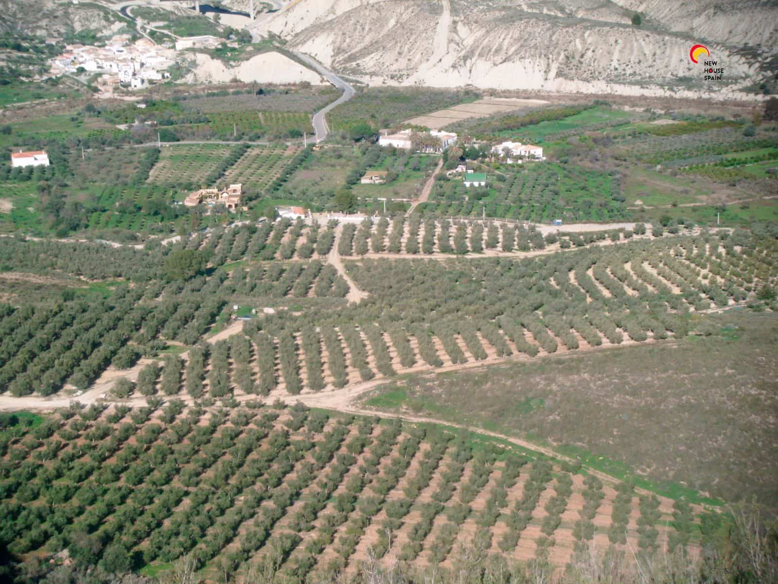 2 soveværelse Finca/Landehus til salg i Turre med swimmingpool garage - € 900.000 (Ref: 5640941)