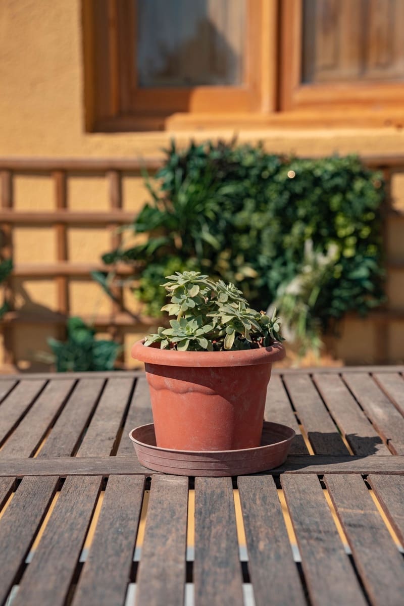 3 soveværelse Finca/Landehus til salg i Somontin med garage - € 140.000 (Ref: 5841232)