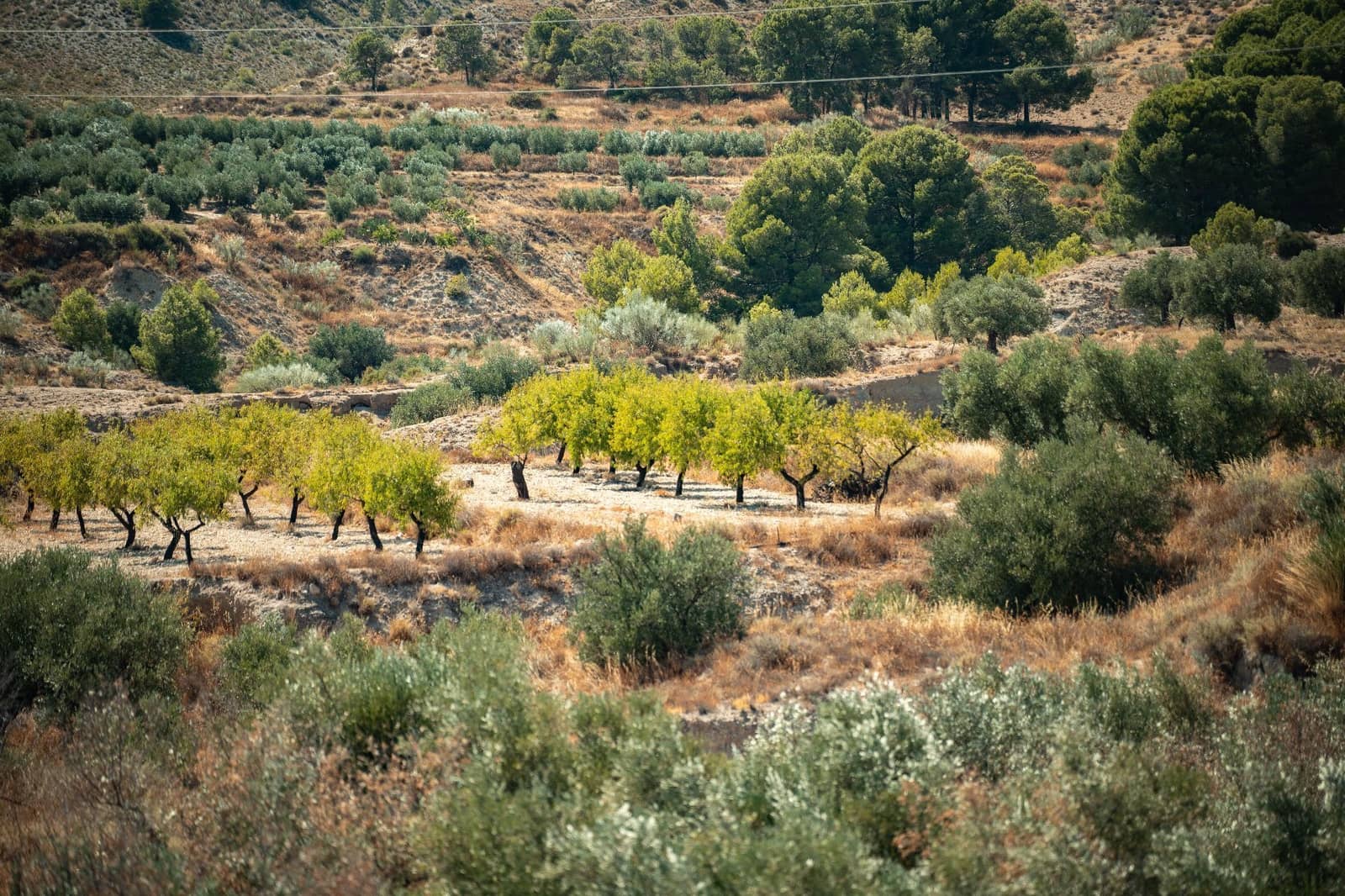 3 soveværelse Finca/Landehus til salg i Somontin med garage - € 140.000 (Ref: 5841232)