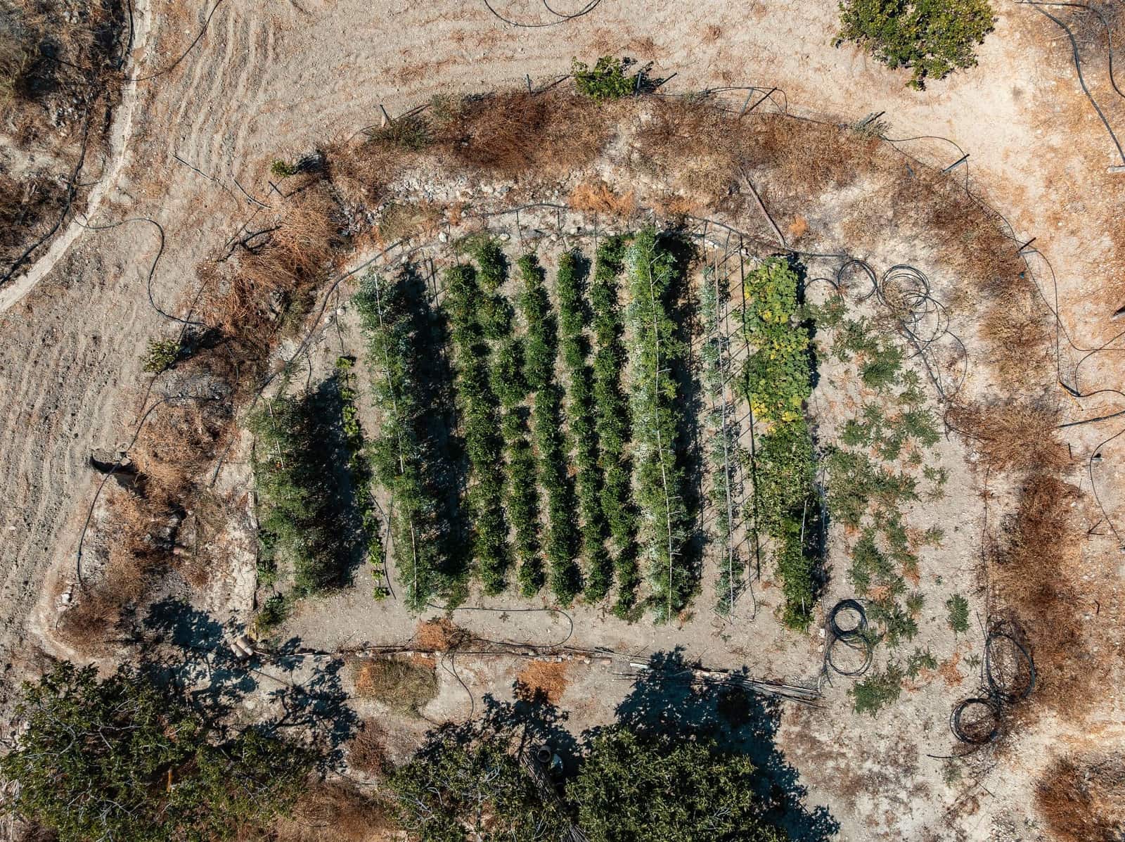 3 soveværelse Finca/Landehus til salg i Somontin med garage - € 140.000 (Ref: 5841232)