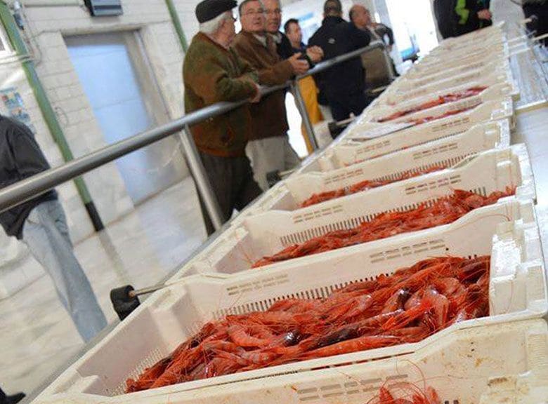 104 sypialnia Hotel na sprzedaż w Mojacar z basenem garażem - 12 500 000 € (Ref: 7570419)