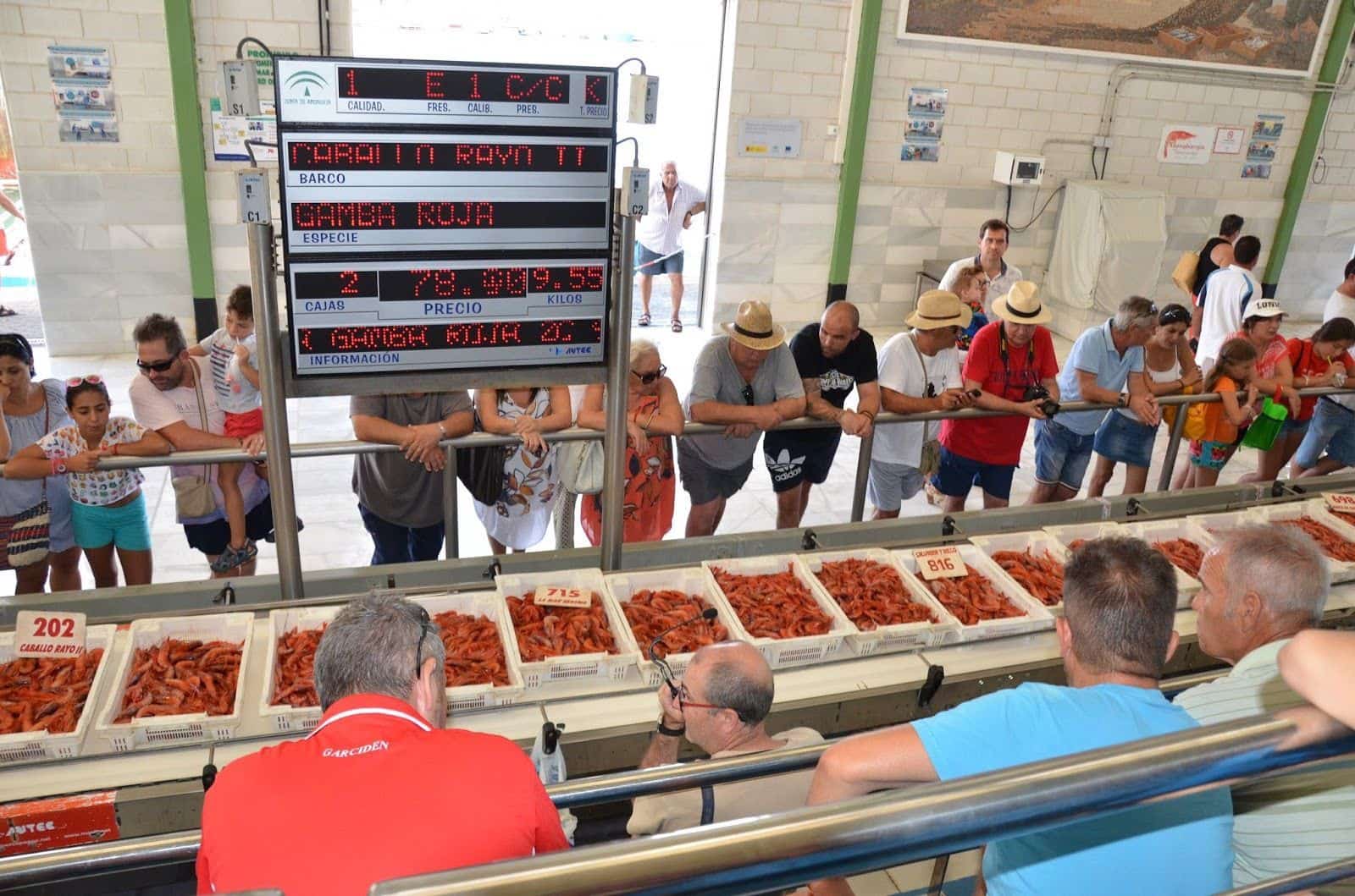 104 sypialnia Hotel na sprzedaż w Mojacar z basenem garażem - 12 500 000 € (Ref: 7570419)