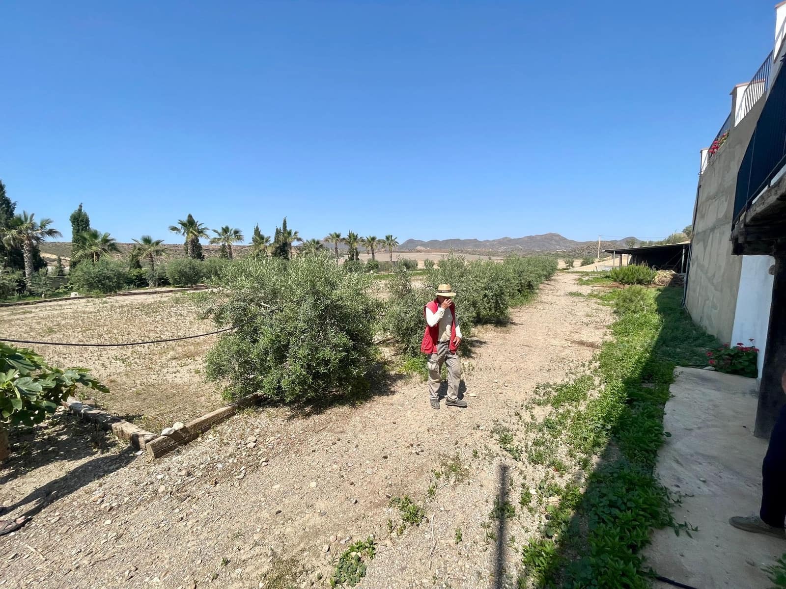 7 soverom Villa til salgs i Calarreona - € 850 000 (Ref: 7680884)