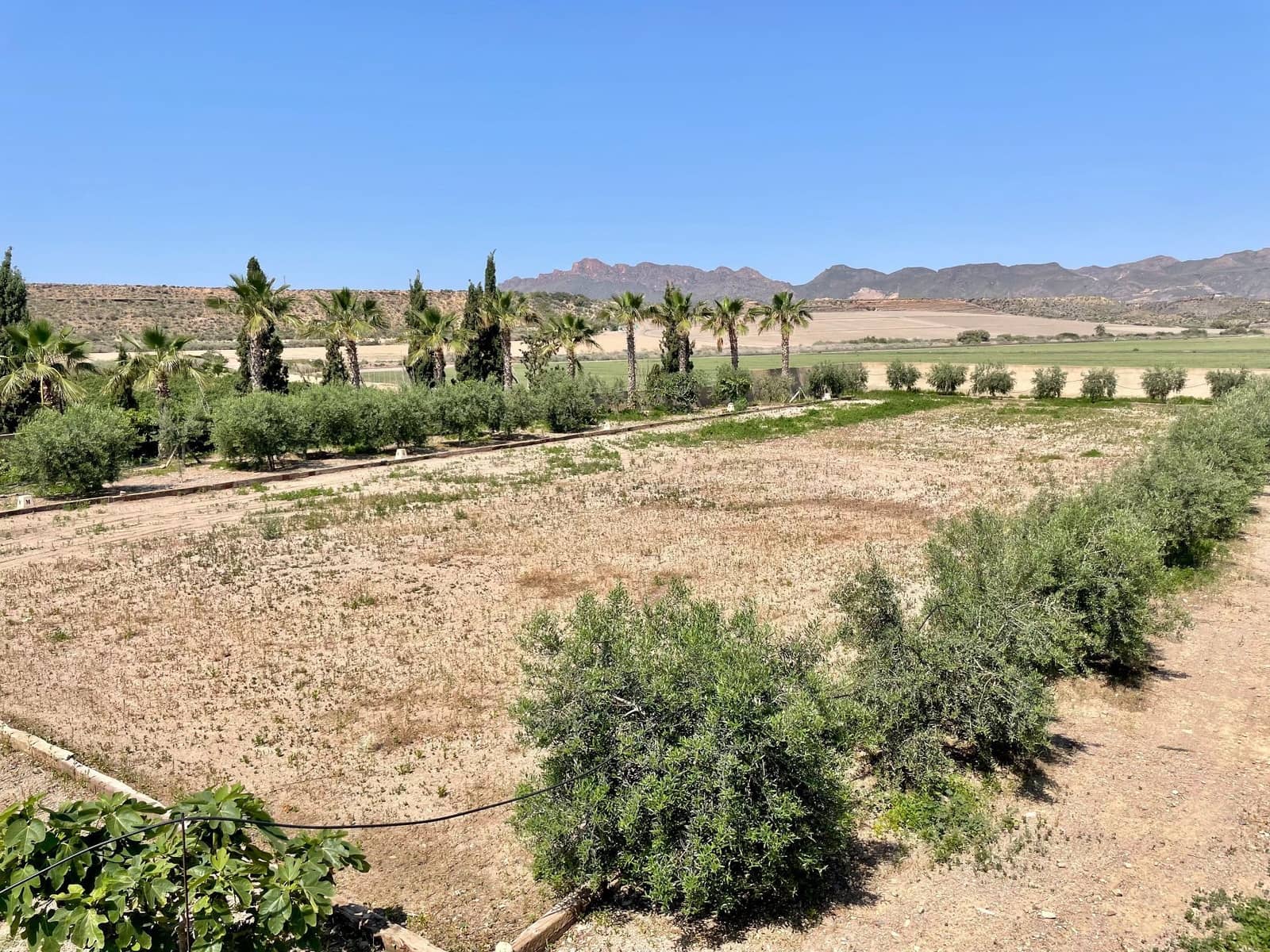 7 soverom Villa til salgs i Calarreona - € 850 000 (Ref: 7680884)