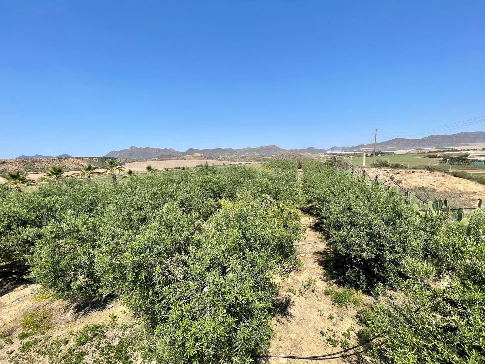 7 soverom Villa til salgs i Calarreona - € 850 000 (Ref: 7680884)