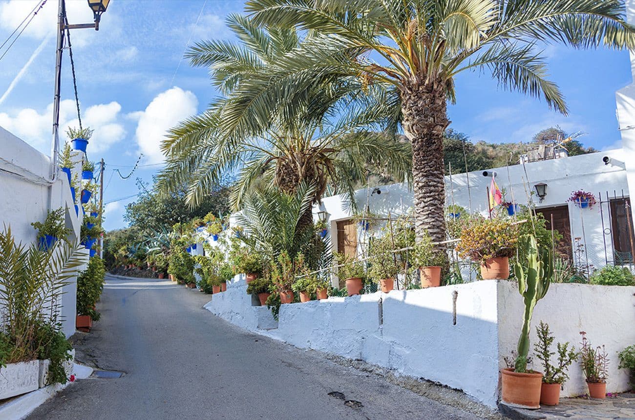 12 camera da letto Hotel in vendita in Mojacar con piscina - 2.500.000 € (Rif: 7978357)