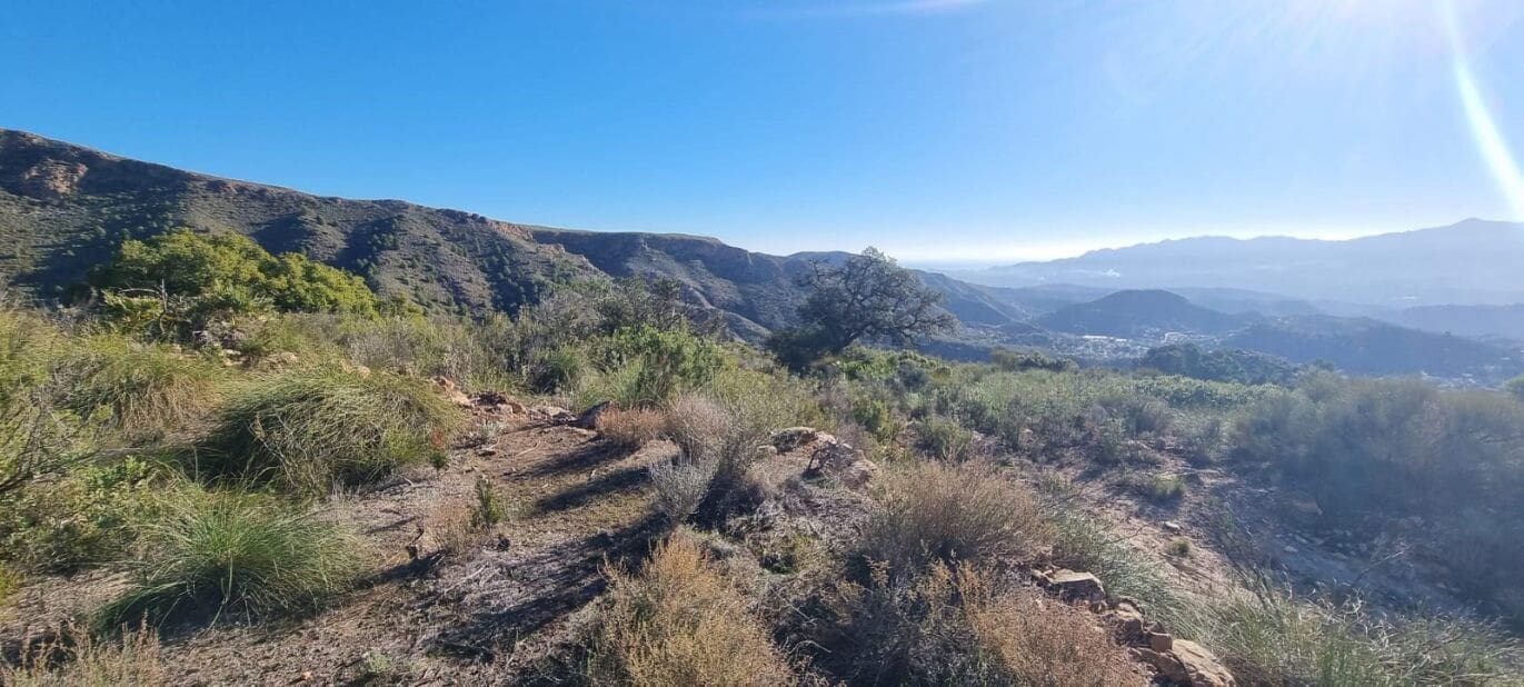 Grunde uden byggetilladelser til salg i Bedar - € 59.000 (Ref: 8104660)