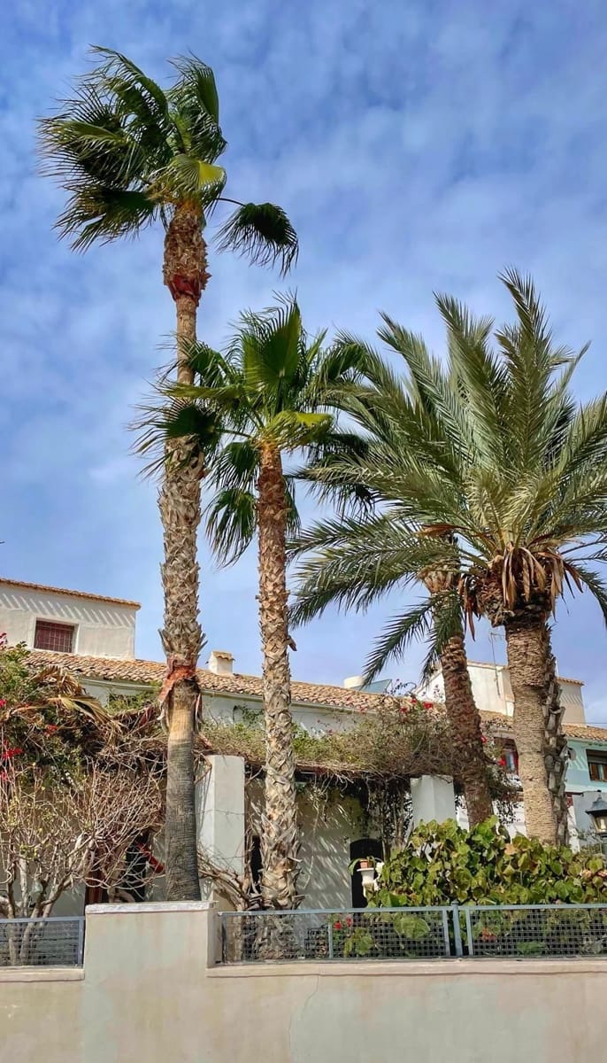 Finca/Landehus til salg i Mojacar med garage - € 750.000 (Ref: 8786021)